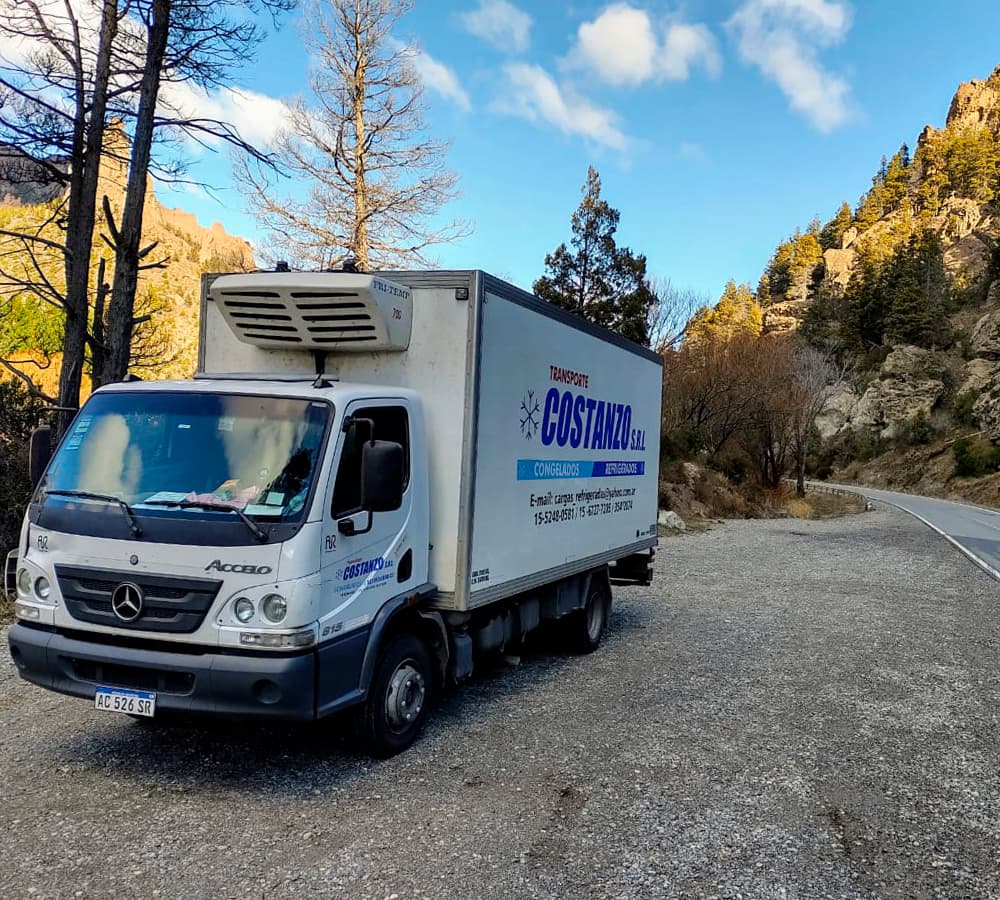 Camión de la flota Transporte Costanzo SRL 1