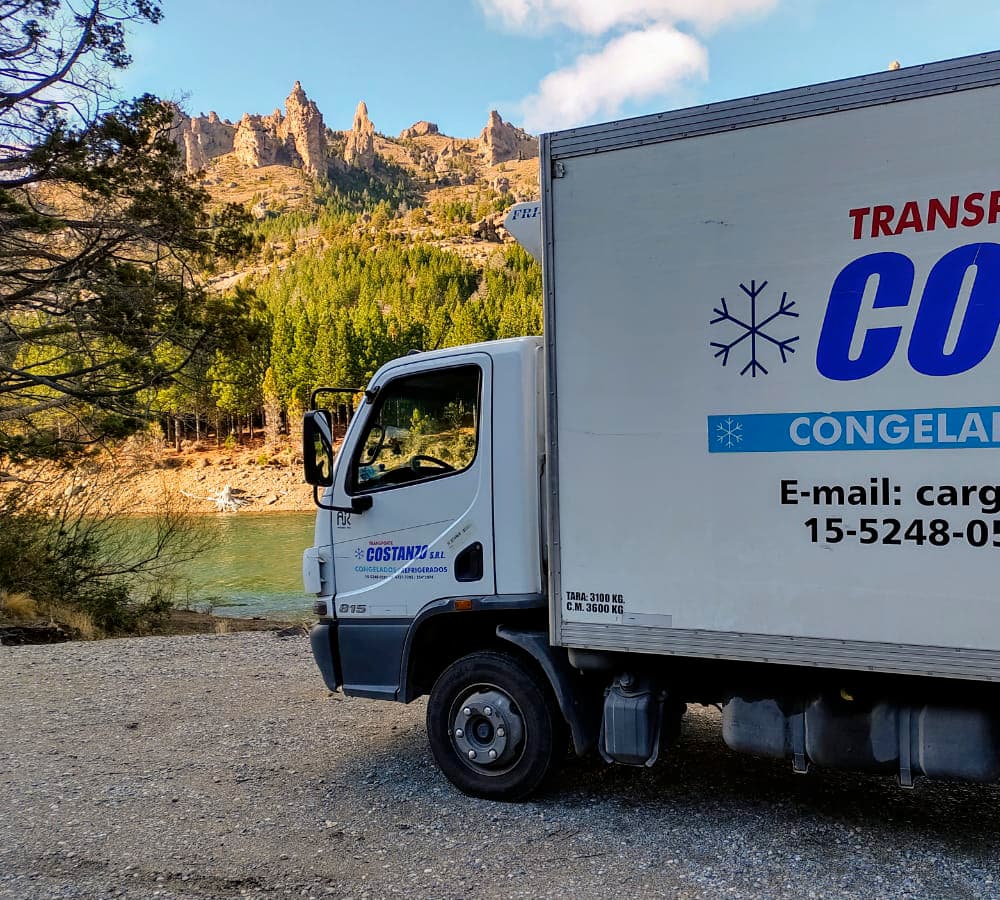 Camión de la flota Transporte Costanzo SRL 3