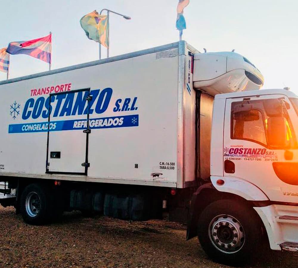 Camión de la flota Transporte Costanzo SRL 4