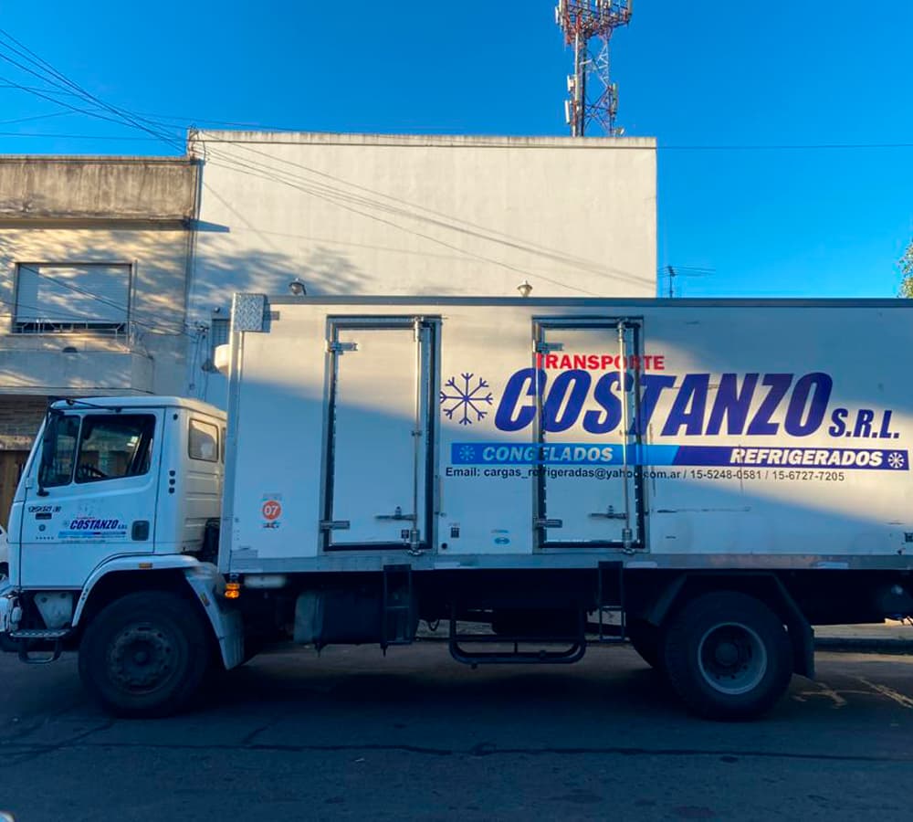 Camión de la flota Transporte Costanzo SRL 5
